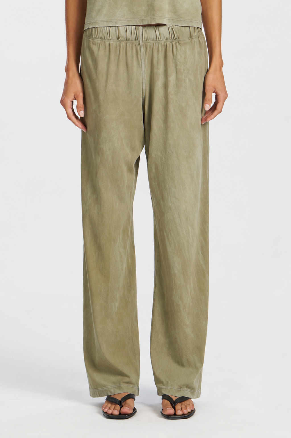 Standard Pant | Premium Supima Cotton Loungewear | Vintage Basil