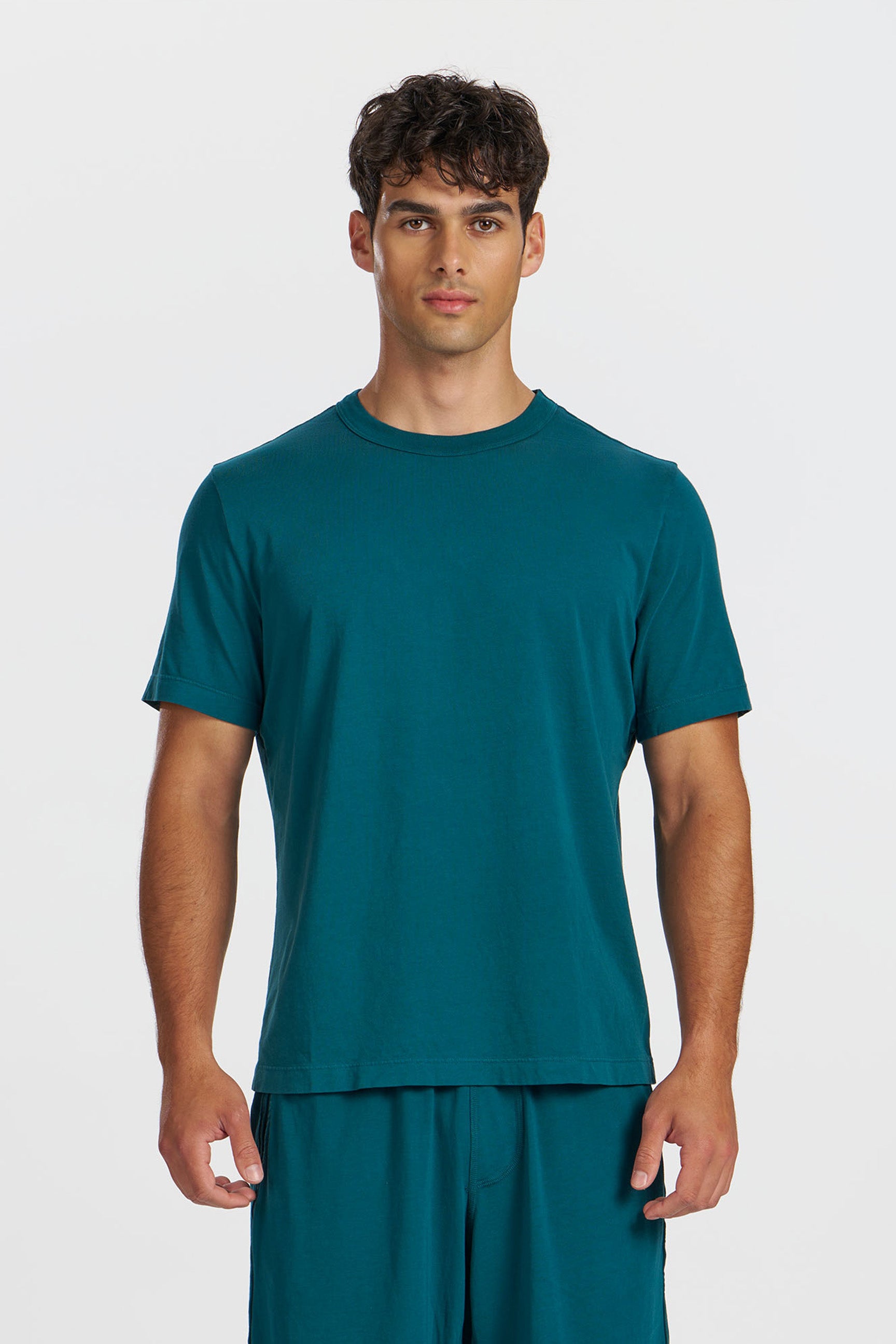 Classic Supima Cotton Crewneck Tee | Hand-Dyed in LA – Cotton Citizen